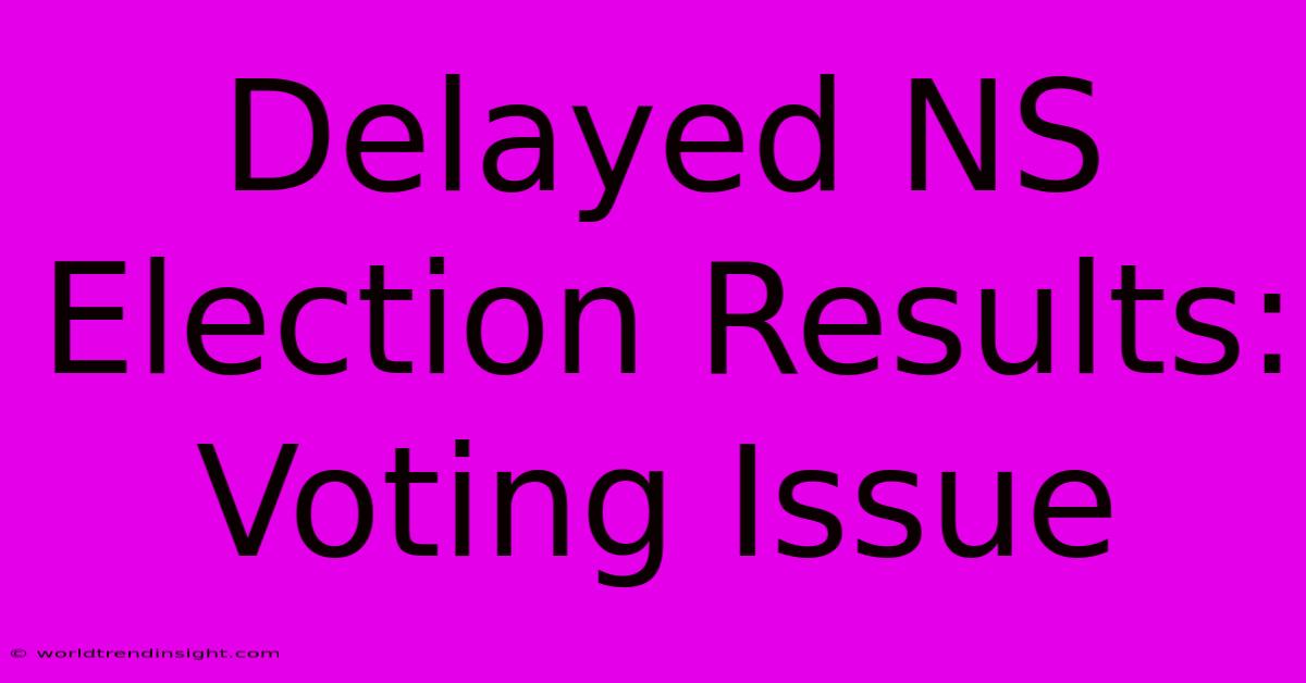 Delayed NS Election Results: Voting Issue