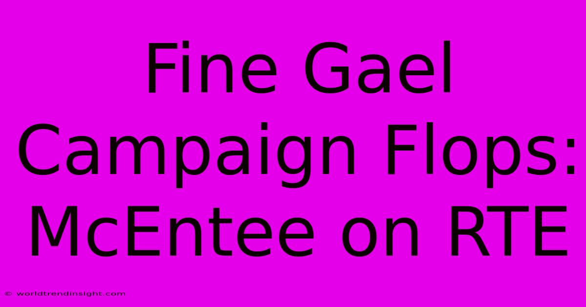 Fine Gael Campaign Flops: McEntee On RTE